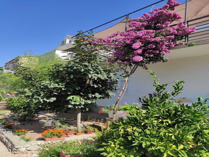 Apartmány 1355-4855