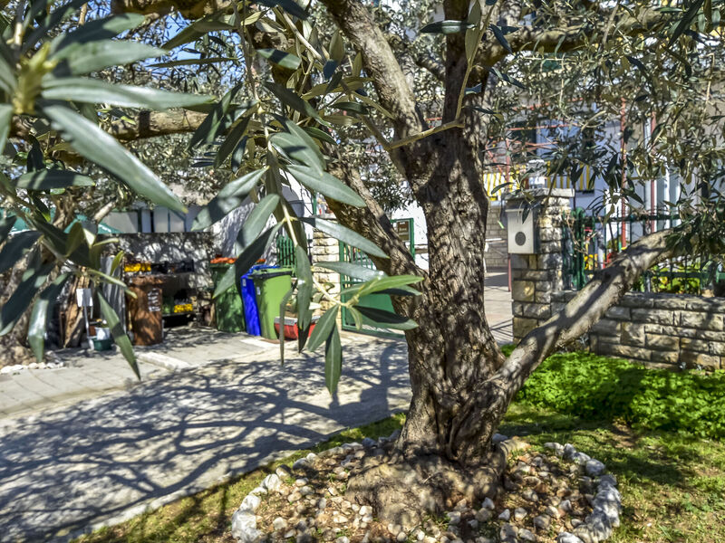 Apartmány 1355-4856