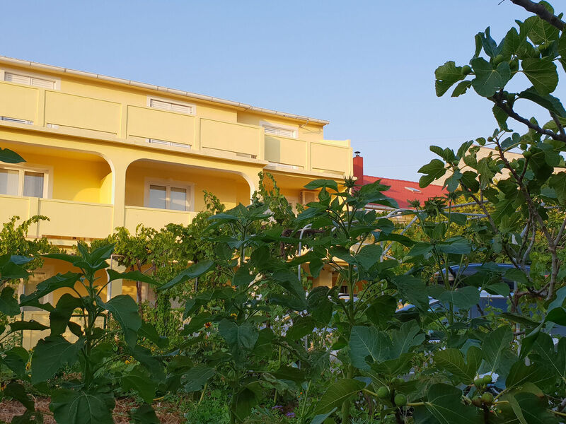 Apartmány 1355-5100