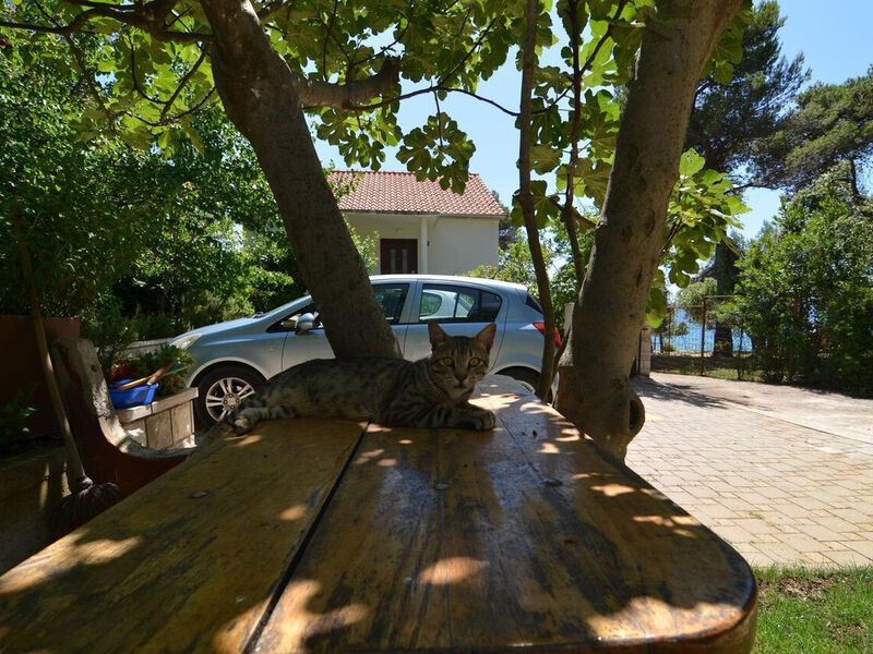 Apartmány 1355-5217