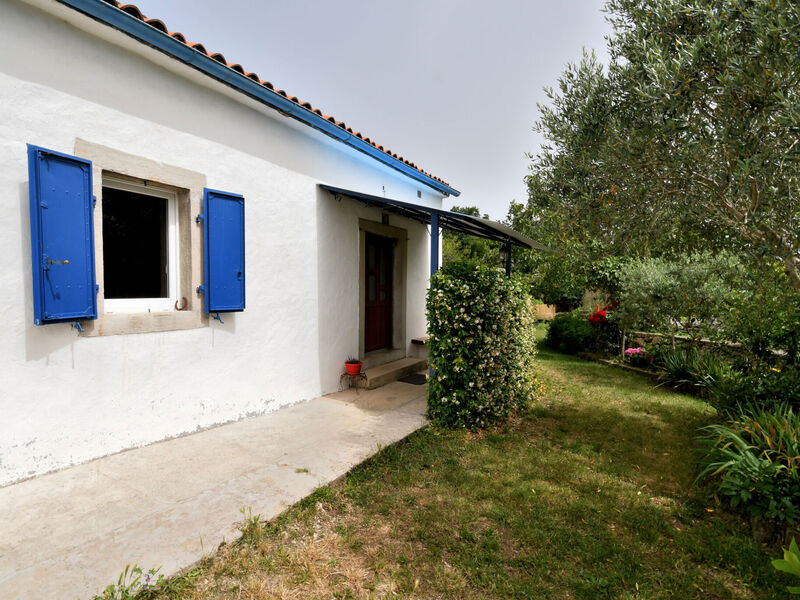 Robinzonáda 1355-5229