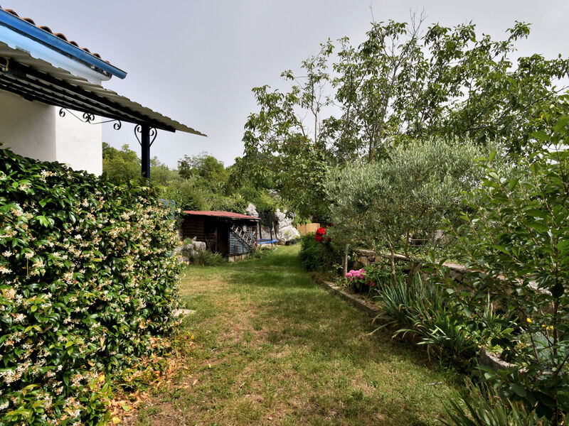 Robinzonáda 1355-5229