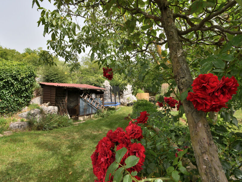 Robinzonáda 1355-5229