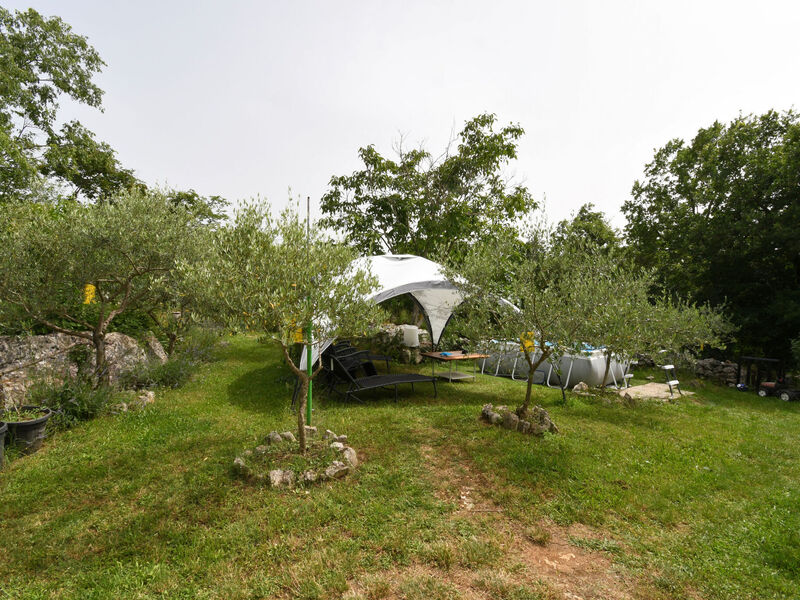 Robinzonáda 1355-5229