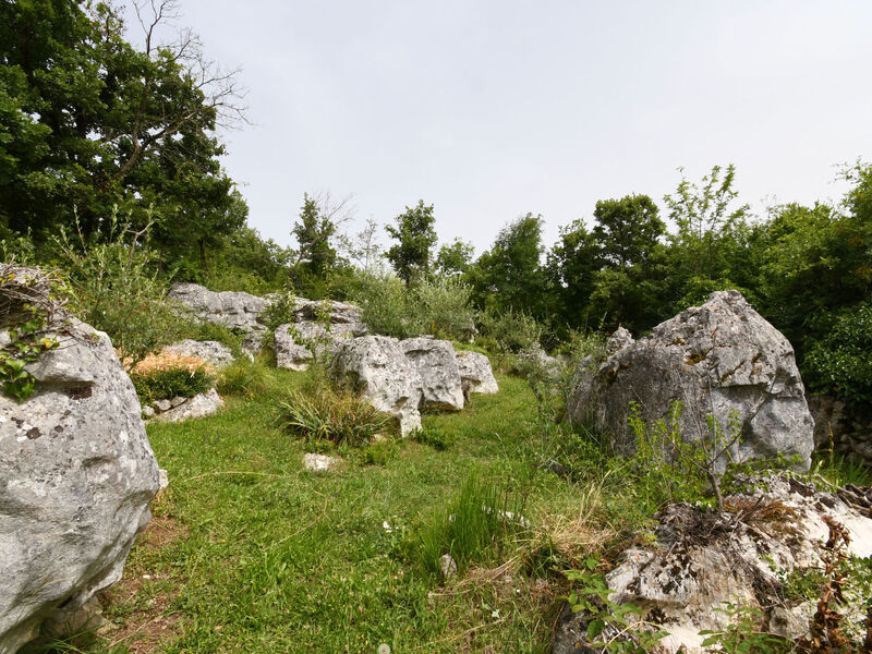 Robinzonáda 1355-5229