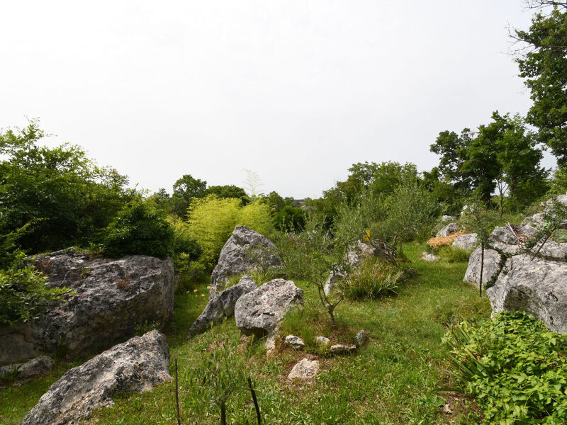 Robinzonáda 1355-5229
