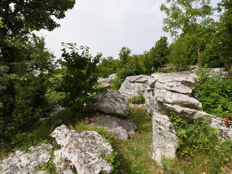 Robinzonáda 1355-5229