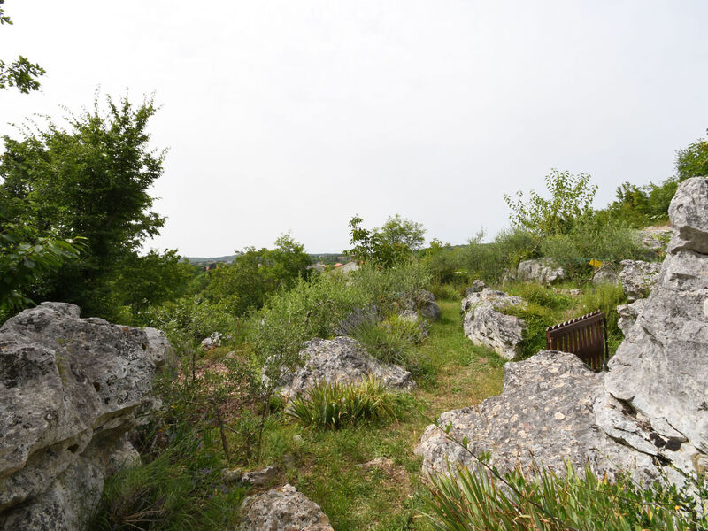 Robinzonáda 1355-5229