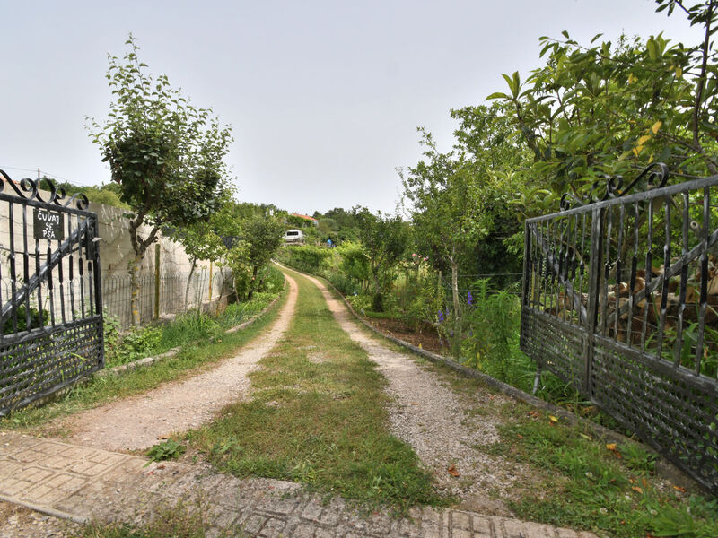 Robinzonáda 1355-5229