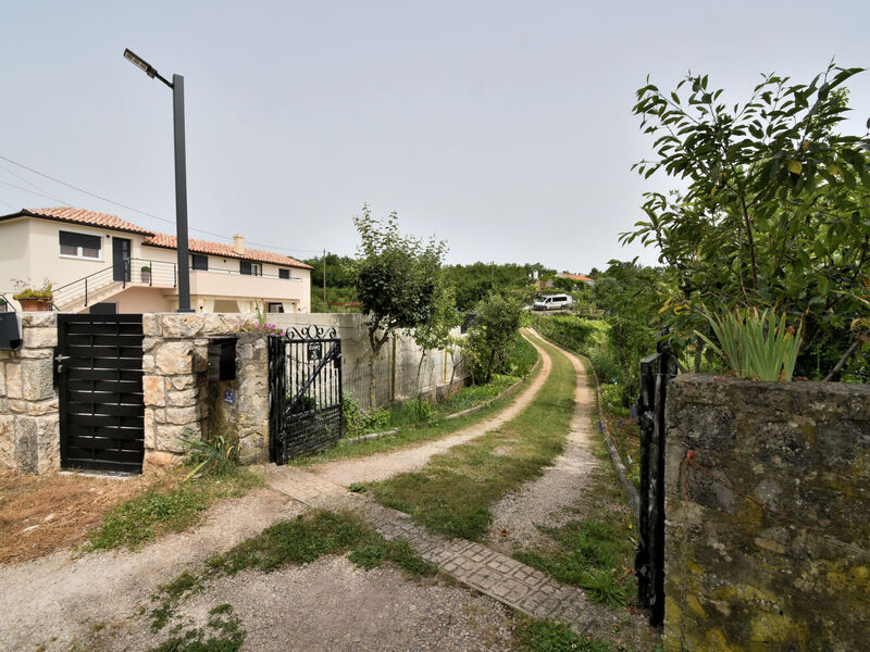 Robinzonáda 1355-5229