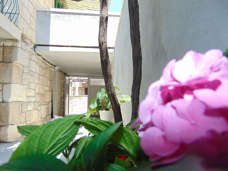 Apartmány 1355-5429