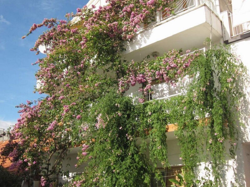 Apartmány 1355-5471
