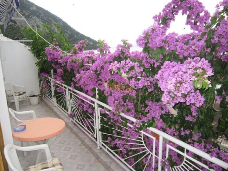 Apartmány 1355-5471
