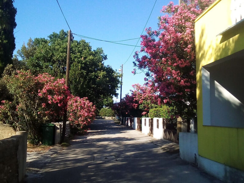Apartmány 1355-5522
