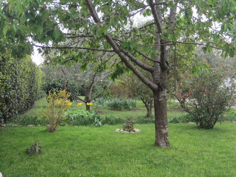 Apartmány 1355-5523