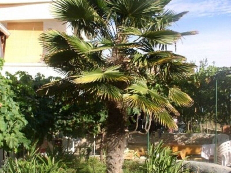Apartmány 1355-5535