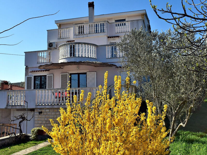Apartmány 1355-5563