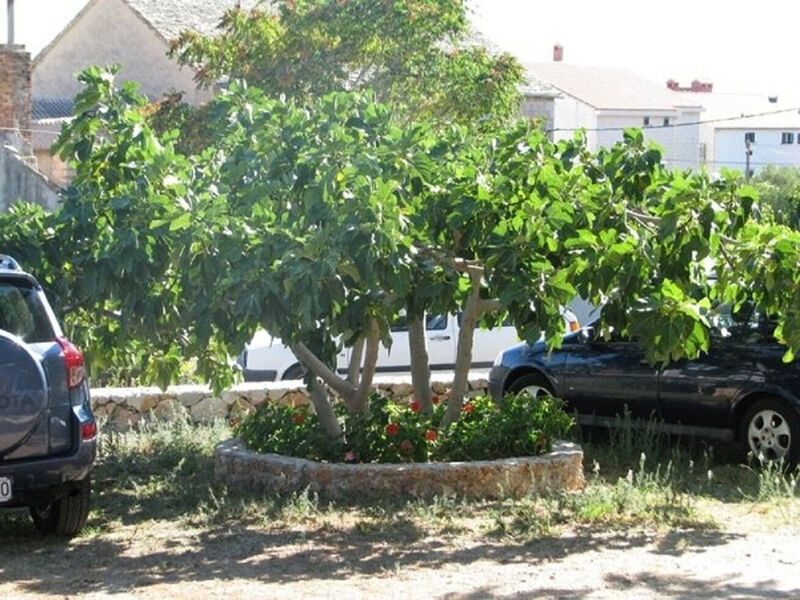 Apartmány 1355-5578