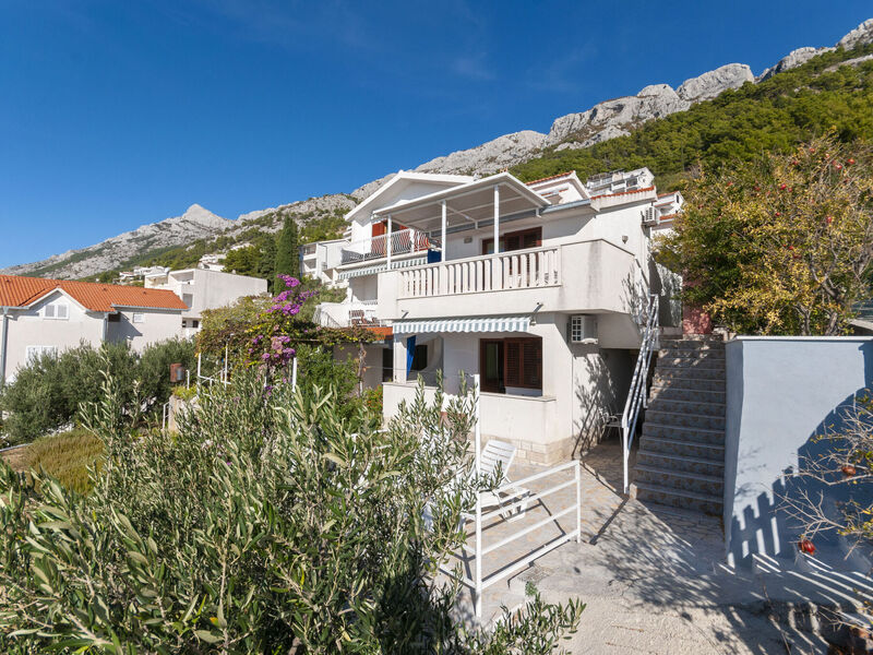Apartmány 1355-5646