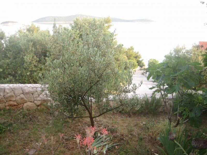 Apartmány 1355-5648