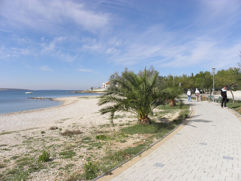 Apartmány 1355-5719