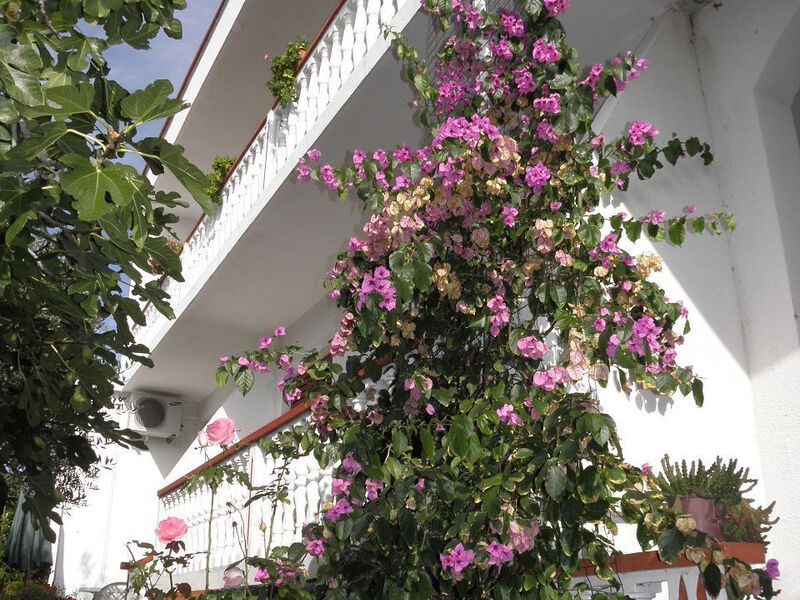Apartmány 1355-5722