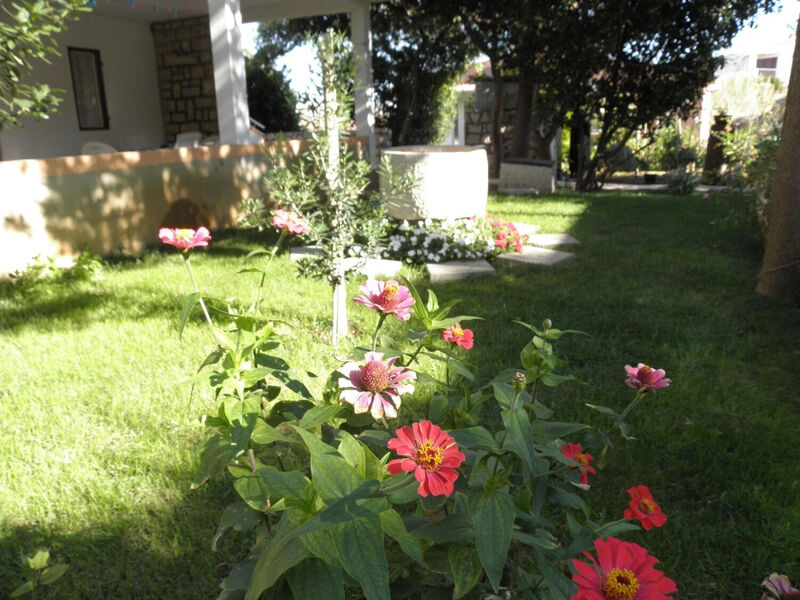 Apartmány 1355-5726