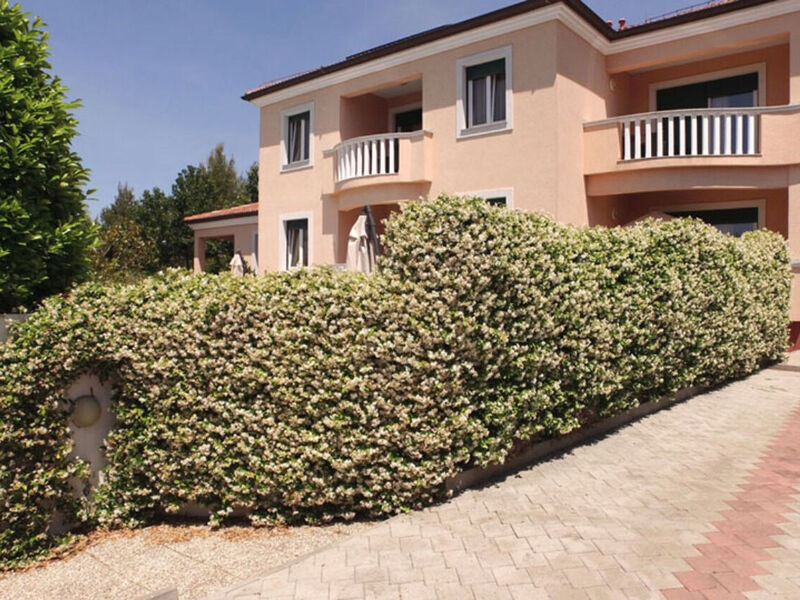 Apartmány 1355-5823