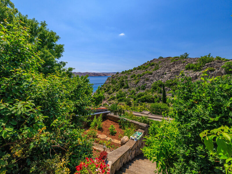 Apartmány 1355-5924