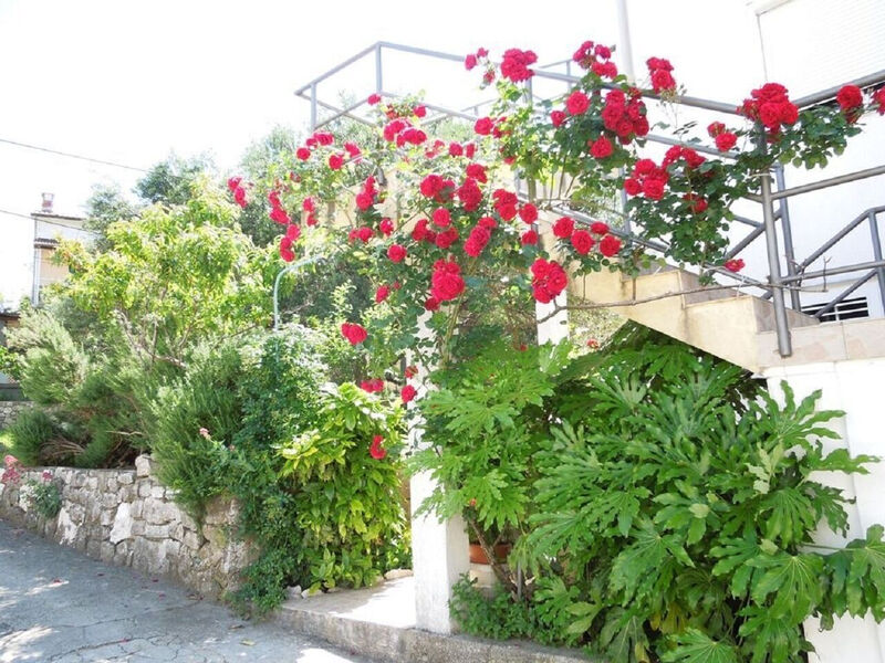 Apartmány 1355-6022