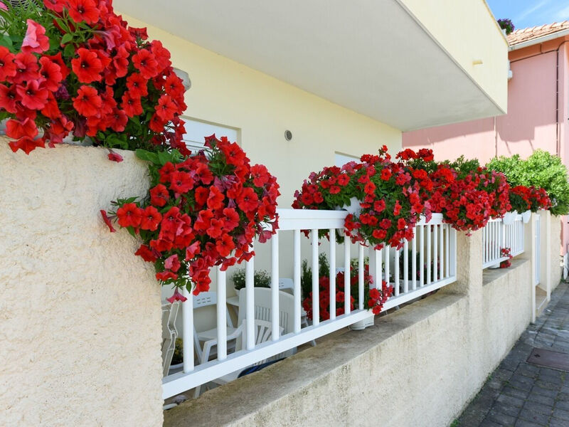 Apartmány 1355-6034
