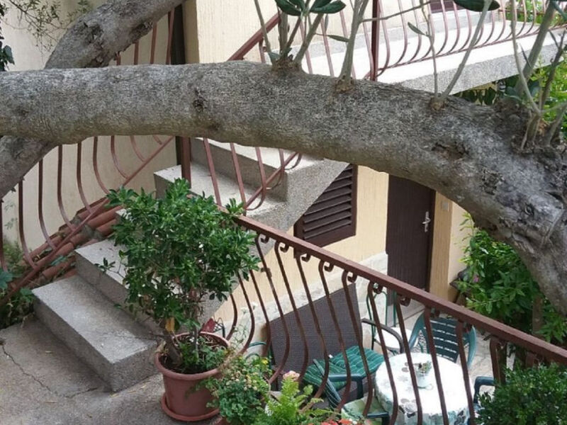 Apartmány 1355-6062