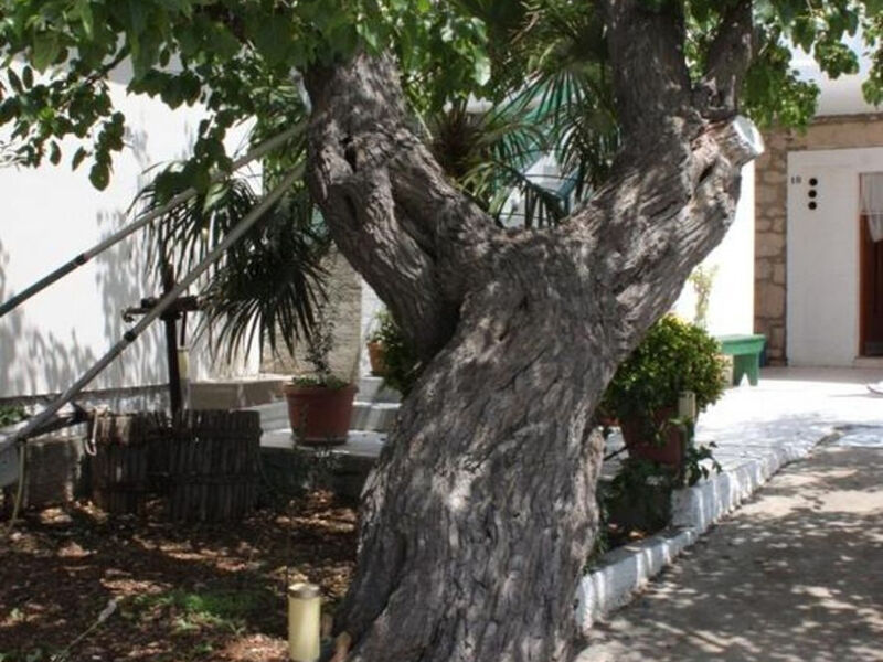 Apartmány 1355-6083