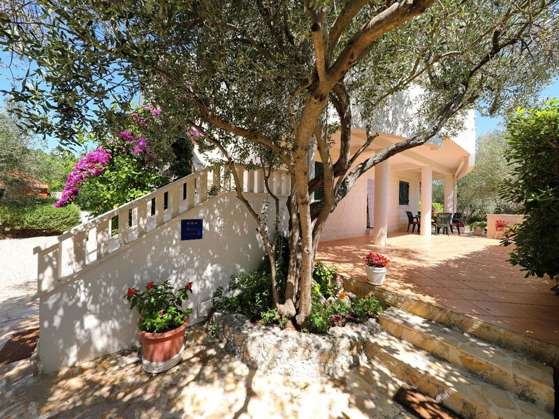 Apartmány 1355-6108