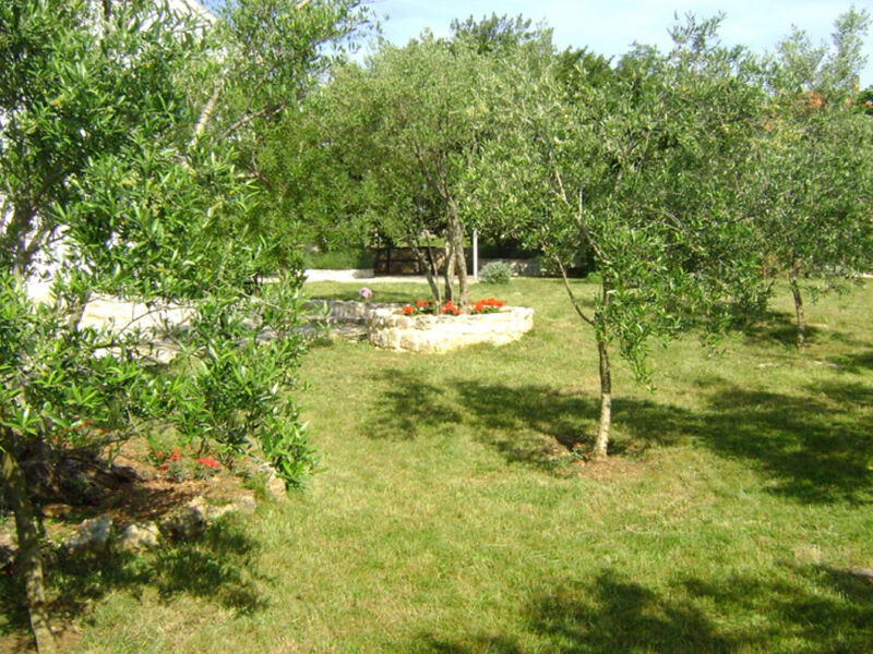 Apartmány 1355-6108
