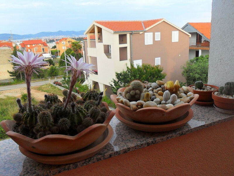 Apartmány 1355-6115