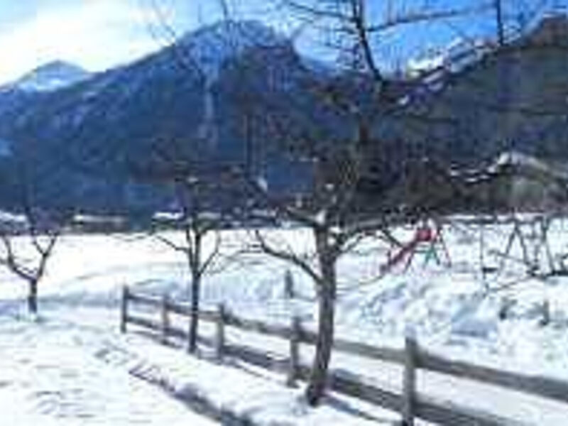 Hotel Alpina