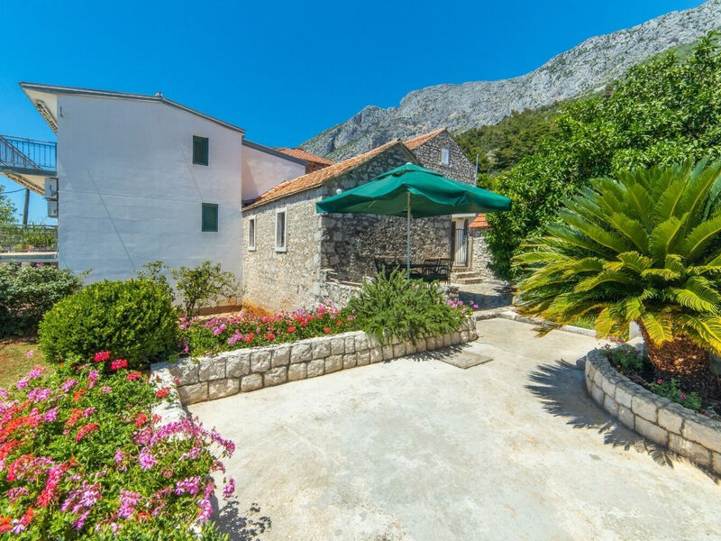 Apartmány 1355-6203