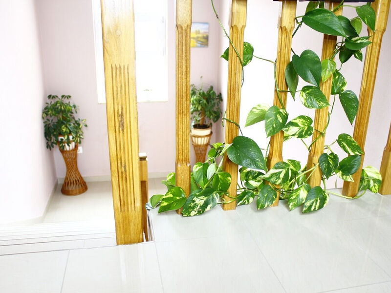 Apartmány 1355-6328