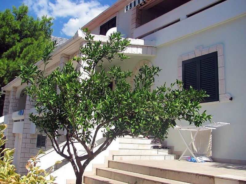 Apartmány 1355-6439