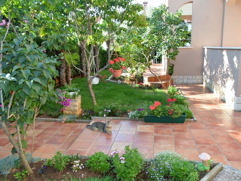 Apartmány 1355-6459