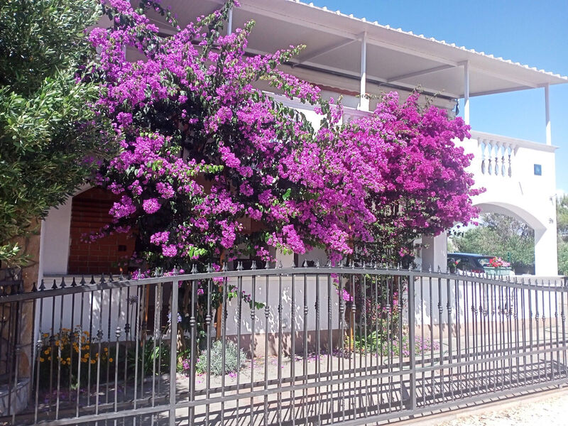 Apartmány 1355-6468