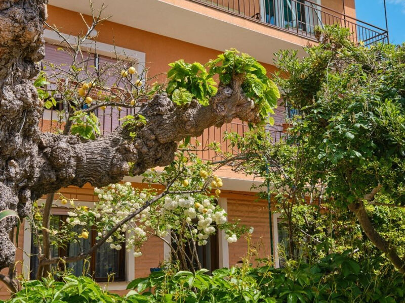 Apartmány 1355-6528