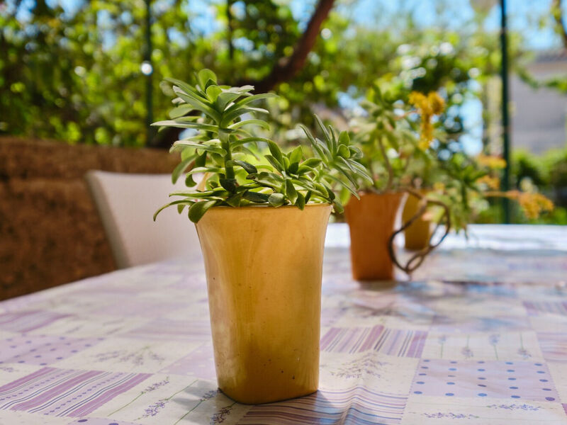 Apartmány 1355-6528