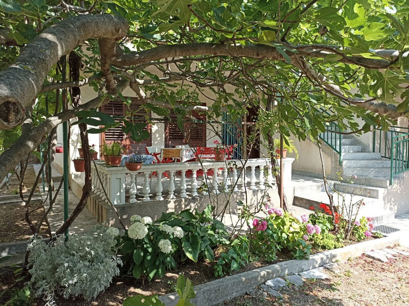 Apartmány 1355-6556