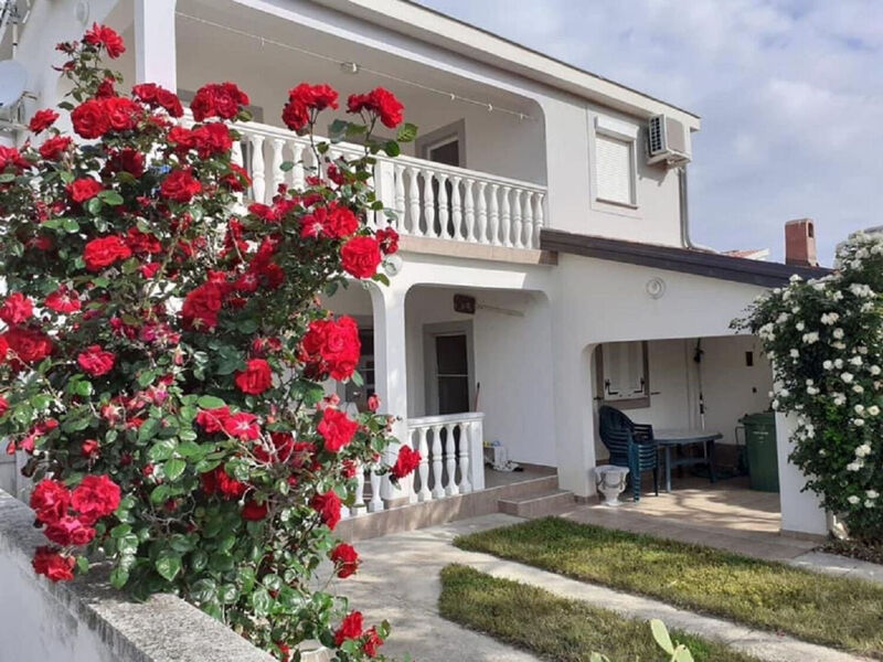 Apartmány 1355-6596