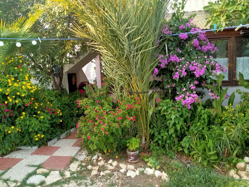 Apartmány 1355-6629