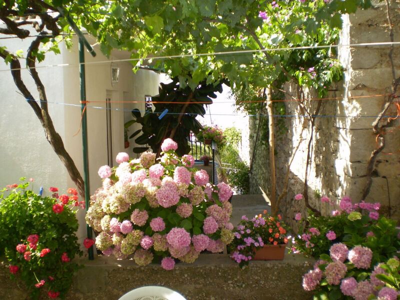 Apartmány 1355-6711