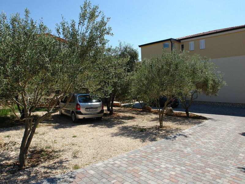Apartmány 1355-6731