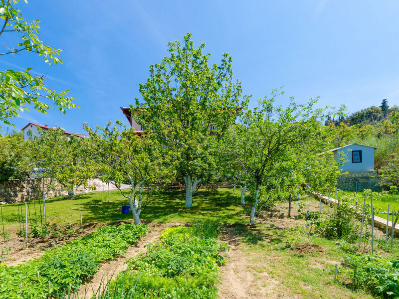 Apartmány 1355-6734